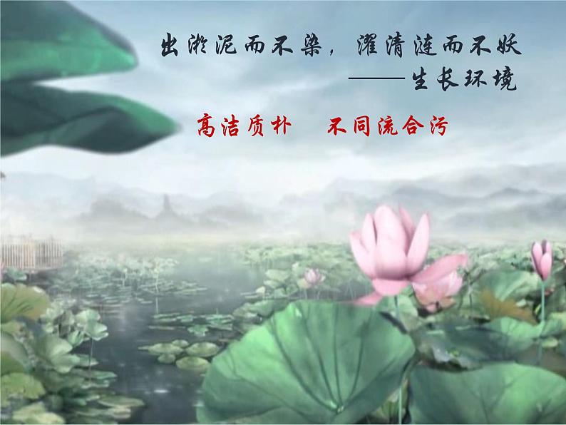 《爱莲说》之托物言志教学课件08