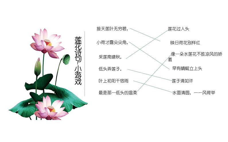 《爱莲说》自主预习课件03