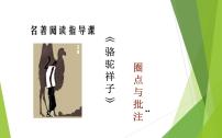 初中语文人教部编版七年级下册名著导读《骆驼祥子》：圈点与批注优质课件ppt