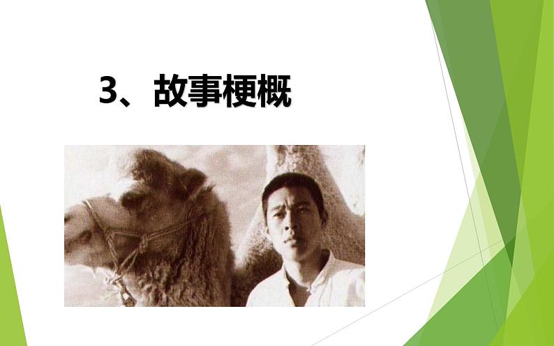 《骆驼祥子》圈点与批注教学专用课件第5页