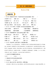 字音（中考语文冲刺训练题精编版原卷+解析）