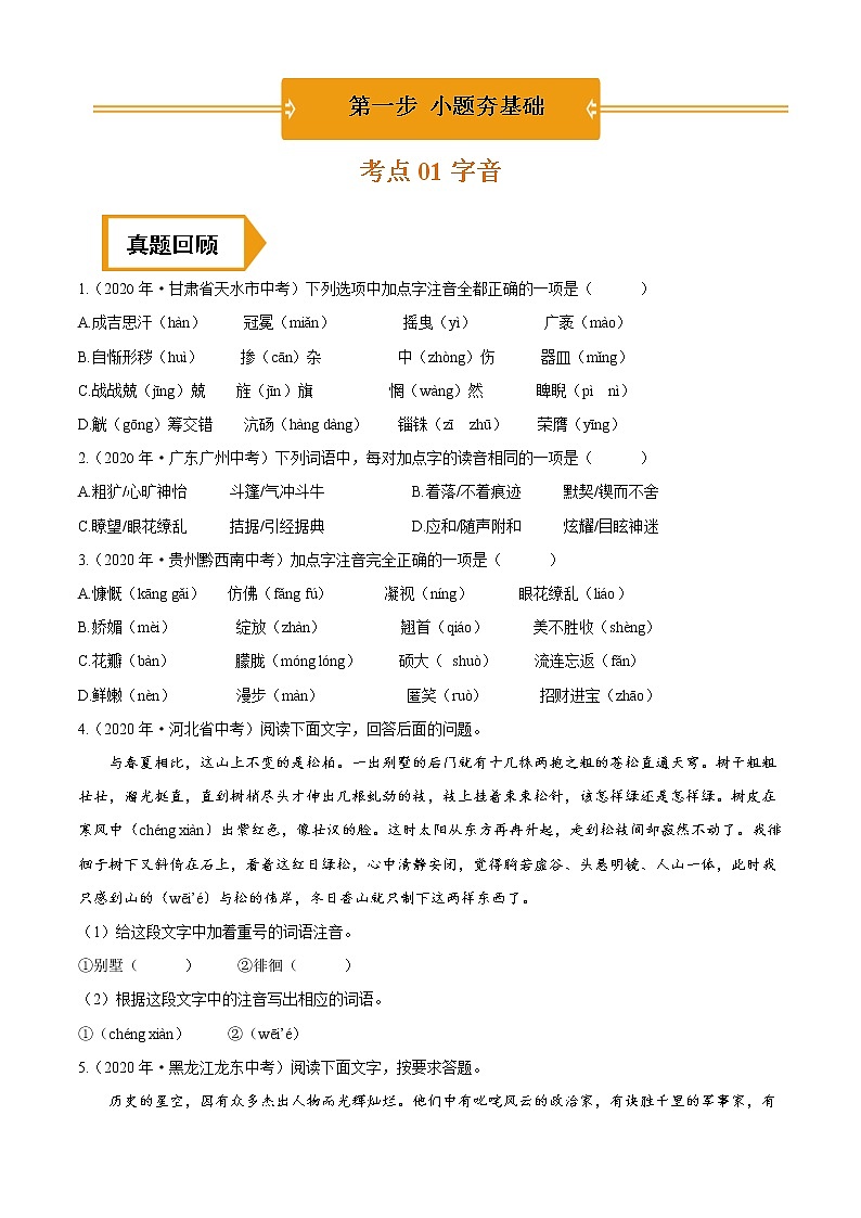 字音（中考语文冲刺训练题精编版原卷+解析）01
