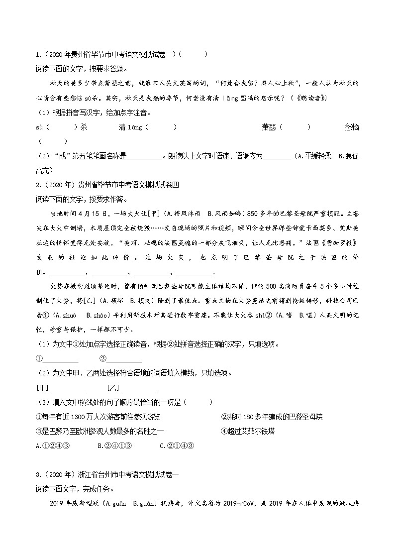 语段综合（中考语文冲刺训练题精编版原卷+解析）03
