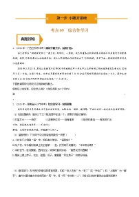 综合性学习（中考语文冲刺训练题精编版原卷+解析）