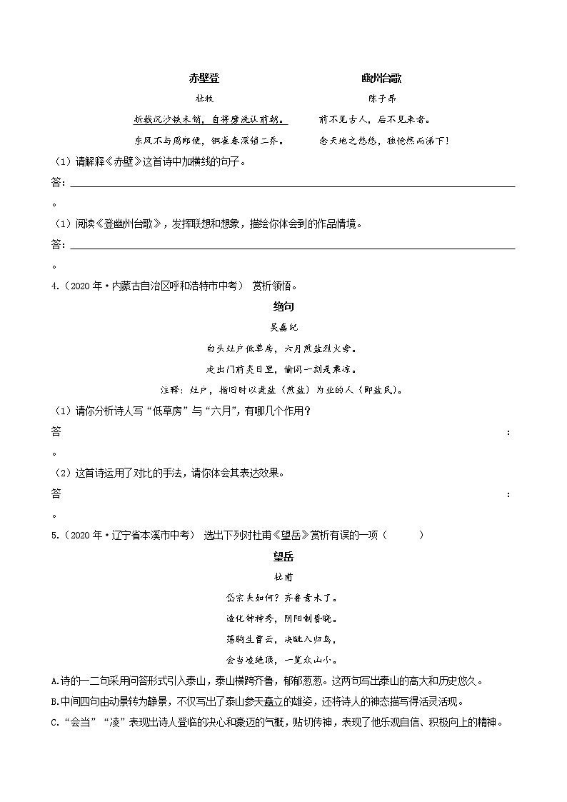 诗歌鉴赏（中考语文冲刺训练题精编版原卷+解析）02