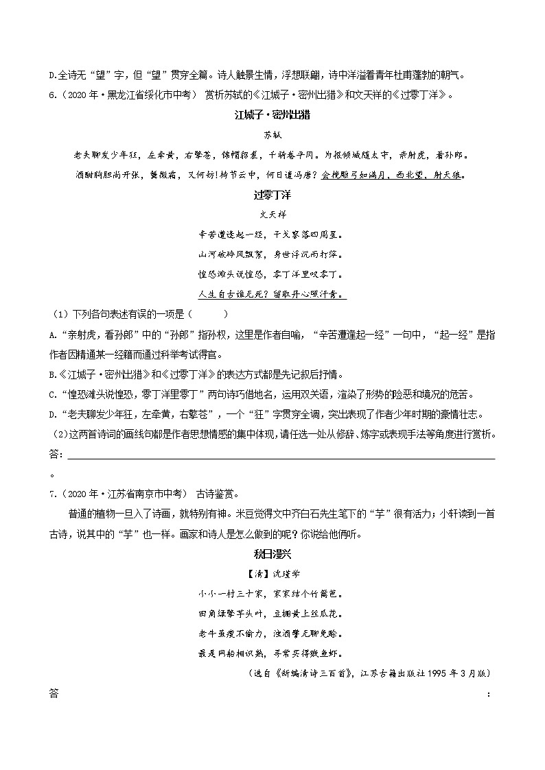 诗歌鉴赏（中考语文冲刺训练题精编版原卷+解析）03