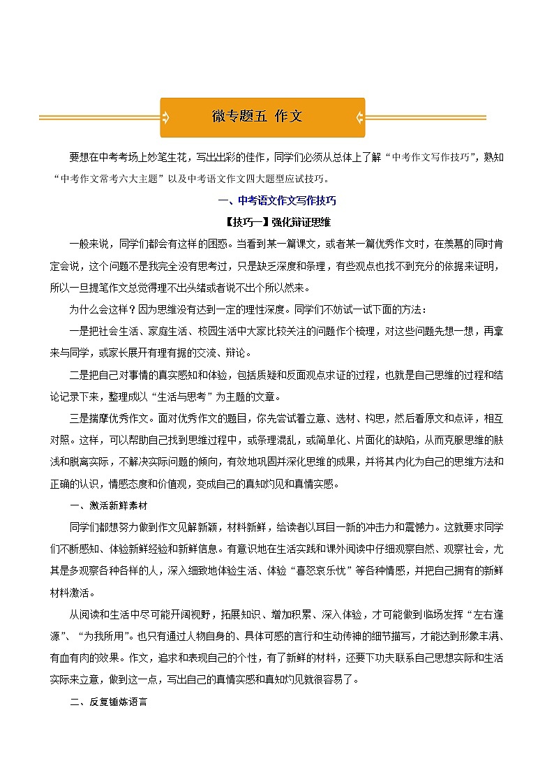 作文指导（中考语文冲刺精编版 试卷01