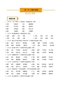 字形（中考语文冲刺训练题精编版原卷+解析）