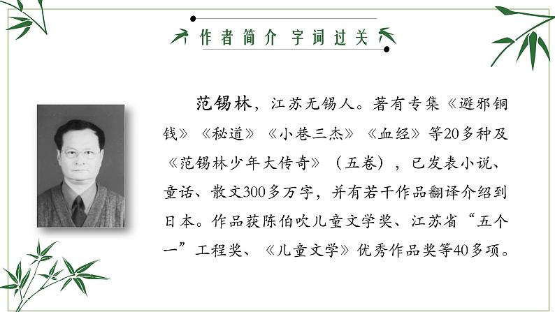 人教部编版语文3.9《竹节人》创优公开课一等奖课件05