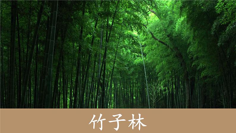 人教部编版语文5.16《夏天里的成长》创优公开课一等奖课件05