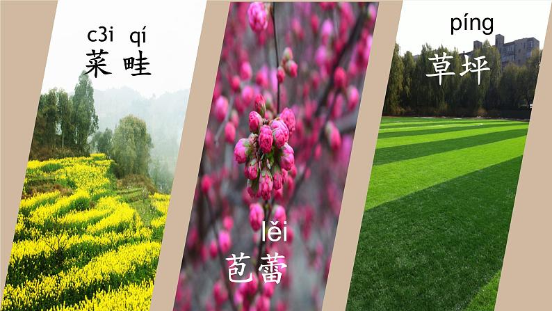 人教部编版语文5.16《夏天里的成长》创优公开课一等奖课件08