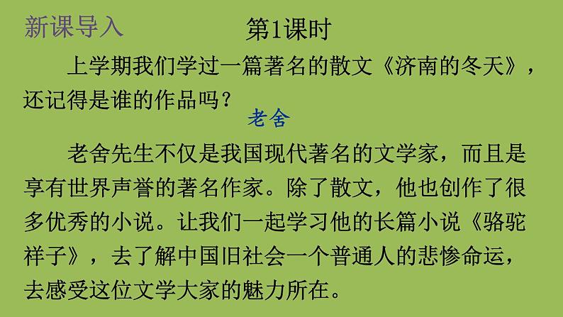部编版语文七年级下册 第三单元 名著导读 《骆驼祥子》 圈点与批注 课件02
