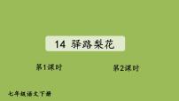 初中语文人教部编版七年级下册15 驿路梨花说课课件ppt