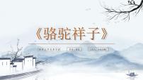 初中语文人教部编版七年级下册名著导读《骆驼祥子》：圈点与批注课堂教学ppt课件