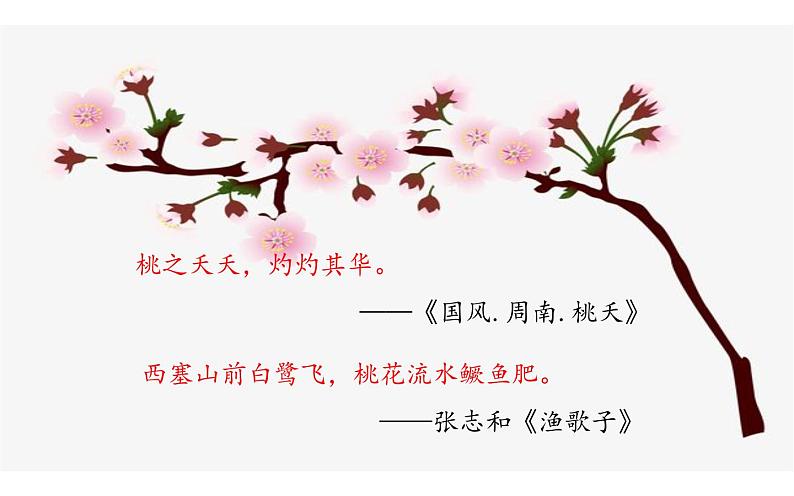 《一颗小桃树》公开课课件第1页