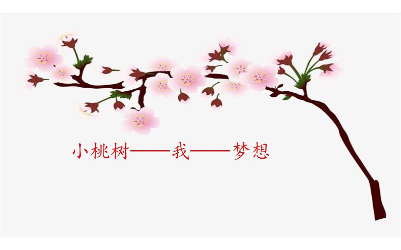 《一颗小桃树》公开课课件第2页