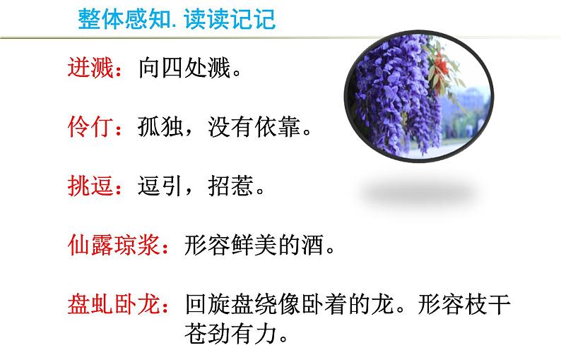 《紫藤萝瀑布》优质课上课课件第5页