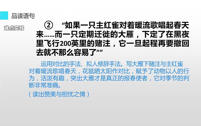 《大雁归来》公开课一等奖课件06