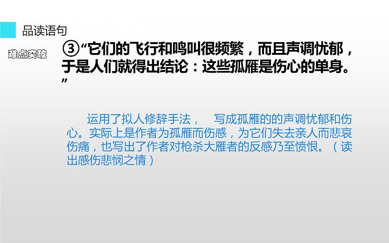 《大雁归来》公开课一等奖课件07