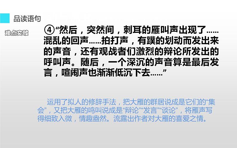 《大雁归来》公开课一等奖课件08