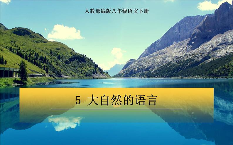 《大自然的语言》公开课一等奖课件01