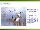 7 .《大雁归来》（课件+视频素材）