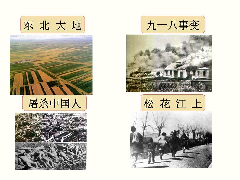 【教学课件】部编版语文七年级下册第2单元8土地的誓言05