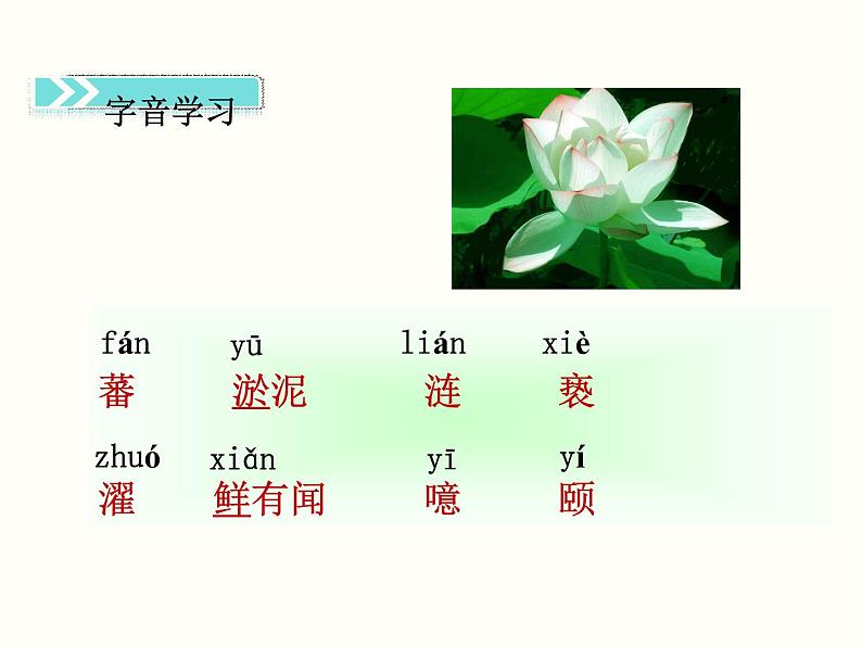 【教学课件】部编版语文七年级下册第4单元17.短文两篇爱莲说06