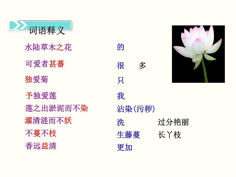 【教学课件】部编版语文七年级下册第4单元17.短文两篇爱莲说07
