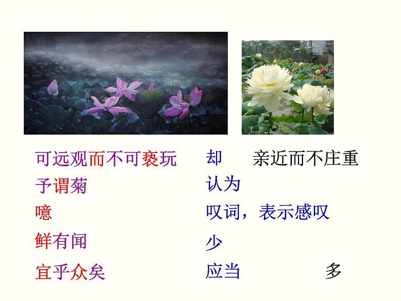 【教学课件】部编版语文七年级下册第4单元17.短文两篇爱莲说08