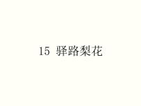 语文人教部编版第四单元15 驿路梨花教课课件ppt