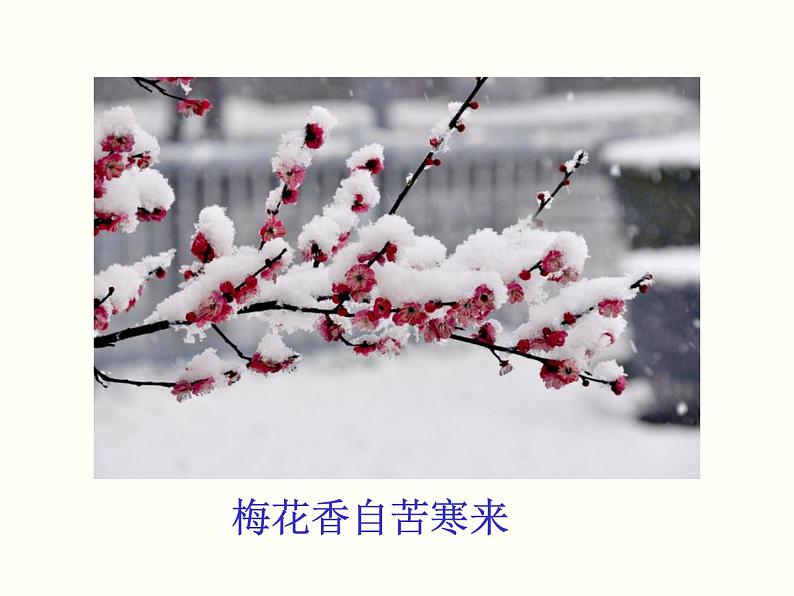【教学课件】部编版语文七年级下册第5单元18 紫藤萝瀑布 第一课时05