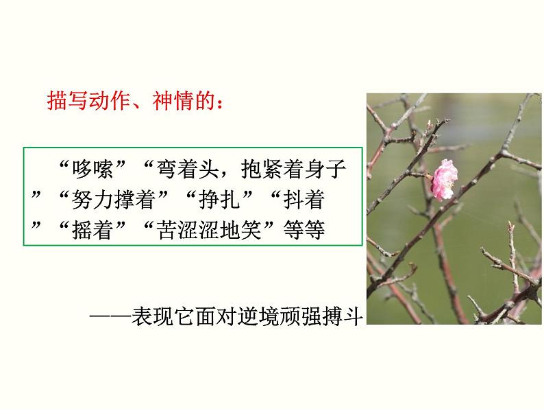 【教学课件】部编版语文七年级下册第5单元19.一棵小桃树第8页