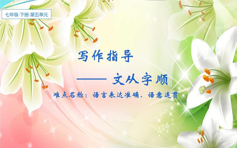 写作指导：文从字顺 优课课件第1页