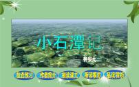 初中语文人教部编版八年级下册10 小石潭记备课ppt课件