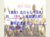 《蒹葭》优课一等奖课件
