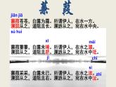 《蒹葭》优课一等奖课件