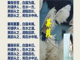 《蒹葭》优课一等奖课件