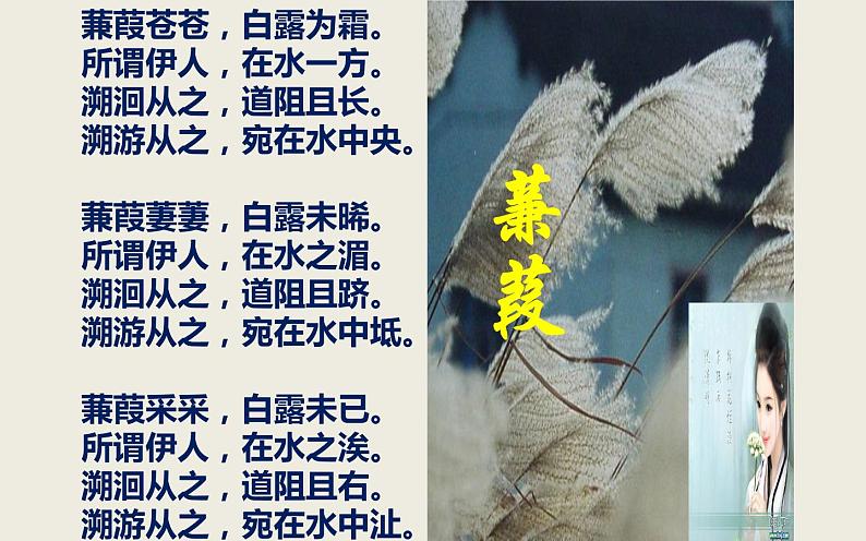 《蒹葭》优课一等奖课件04