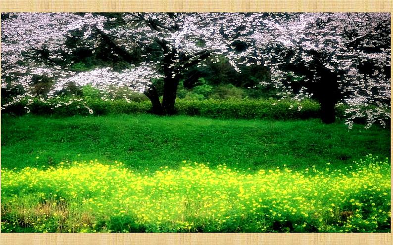 《桃花源记》优课教学课件03