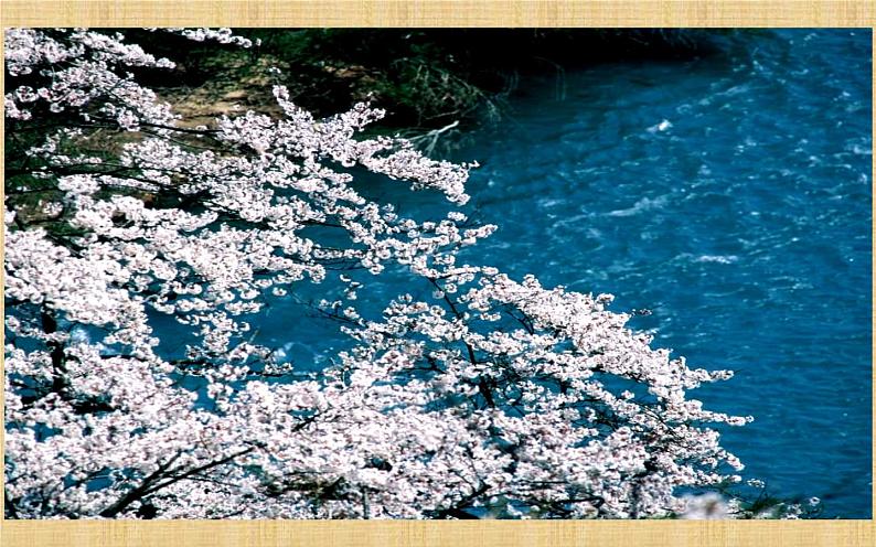 《桃花源记》优课教学课件04