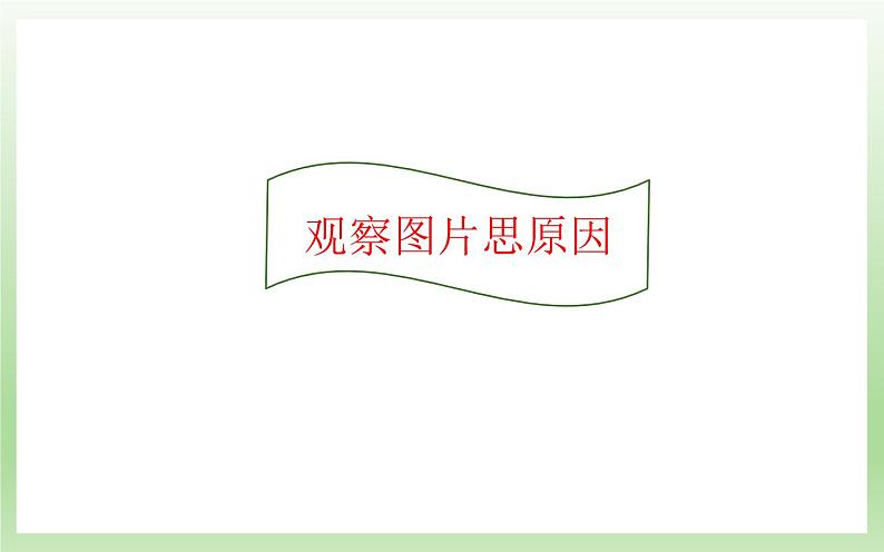 《倡导低碳生活》公开课优质课课件第4页