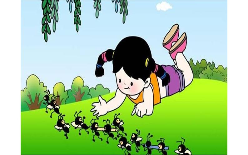 大自然的语言优秀课件ppt免费下载02