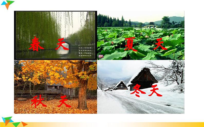 《大自然的语言》公开课优课课件第2页