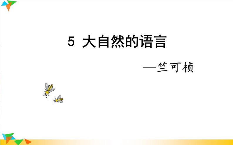 《大自然的语言》公开课优课课件第4页