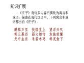 《庄子与惠子游于濠梁之上》公开课教学课件