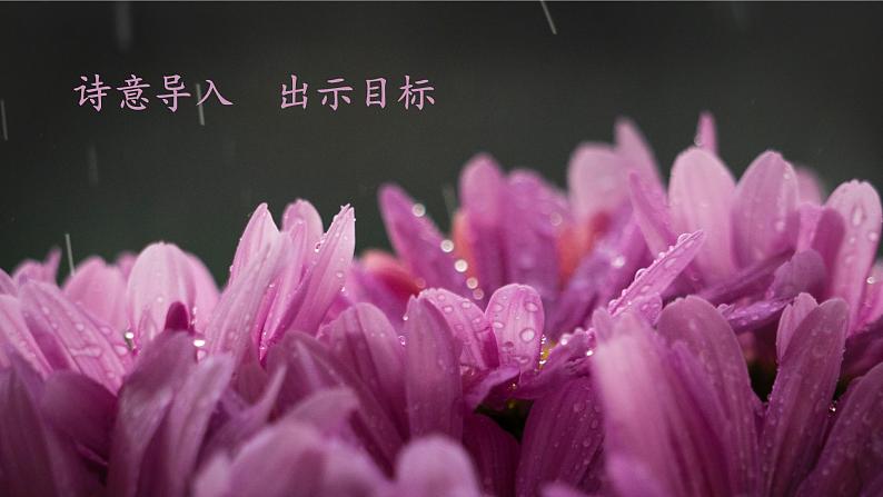 《雨的四季》创优公开课一等奖课件03