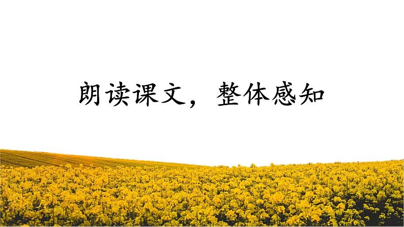 《散步》创优公开课一等奖课件04