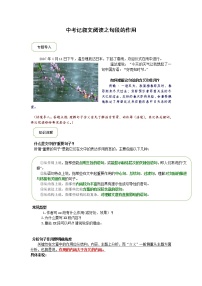 2021年中考语文热点专题记叙文阅读之句段的作用（知识点梳理+练习）