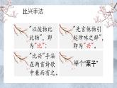 《诗经》二首 第二课时  课件